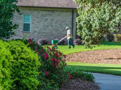 lawn technician fertilizing yard