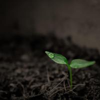 soil-testing