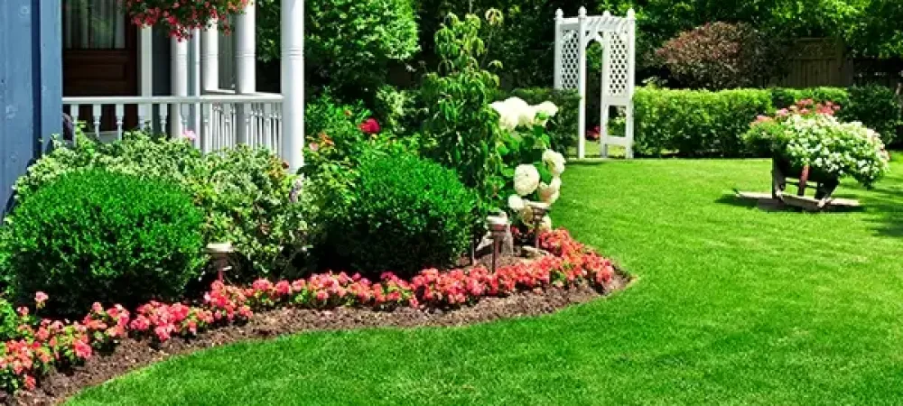 garden at a MA home